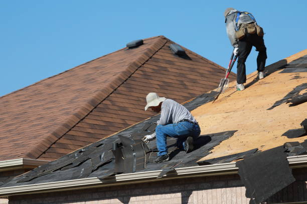 Asphalt Shingles Roofing in University At Buffalo, NY