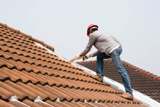 Best Cold Roofs  in University At Buffalo, NY